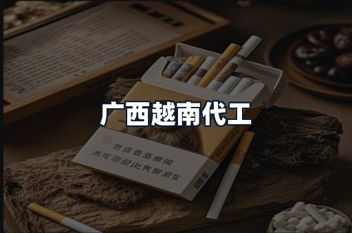 广西越南代工
